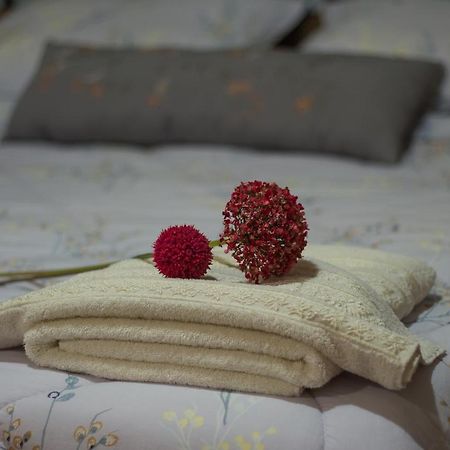 Akrolimnion Hotel Janina Zewnętrze zdjęcie